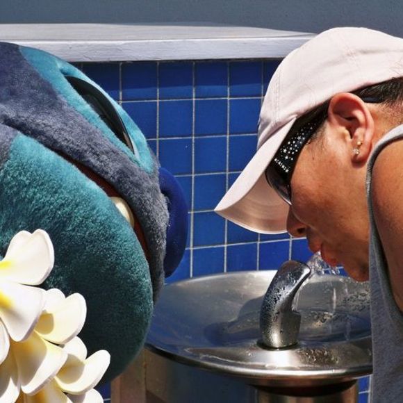 Meet your Posher, Jacque - Picture 1 of 1